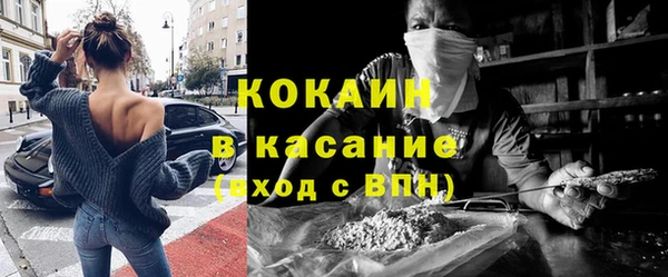 шишки Кукмор