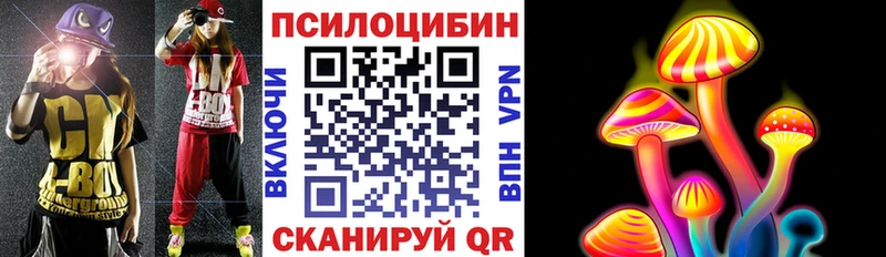 Купить где  Неман  Галлюциногенные грибы Psilocybe 