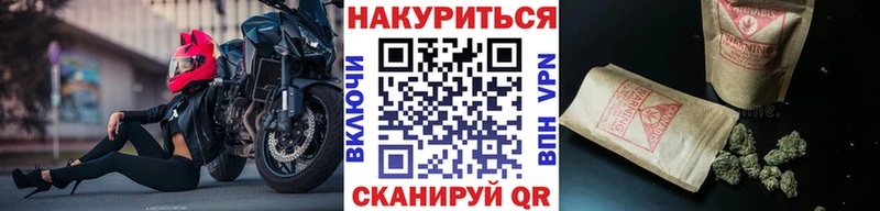 Конопля гибрид Неман